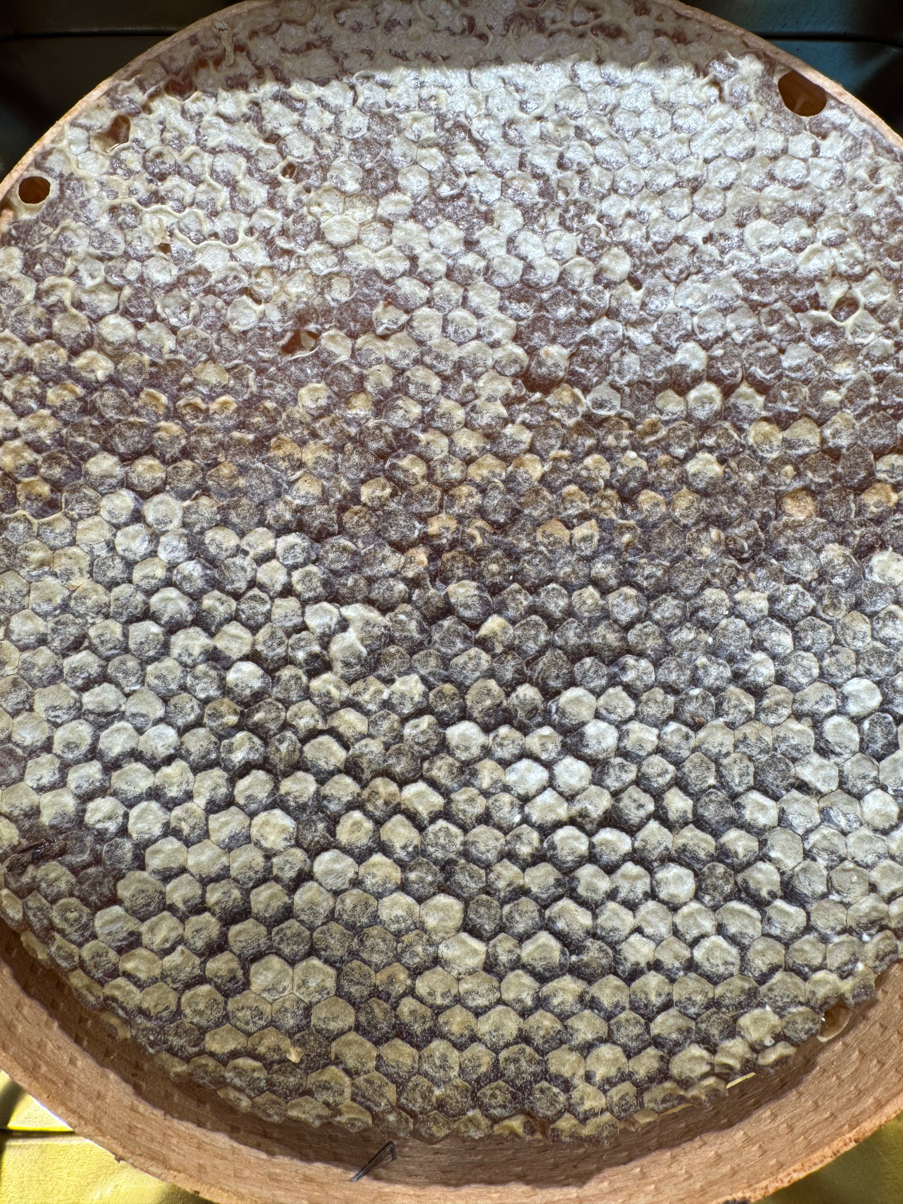 Karakovan Balı Petek altın serisi1.300 1.700  kg arası